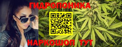 мяу мяу мука Аргун