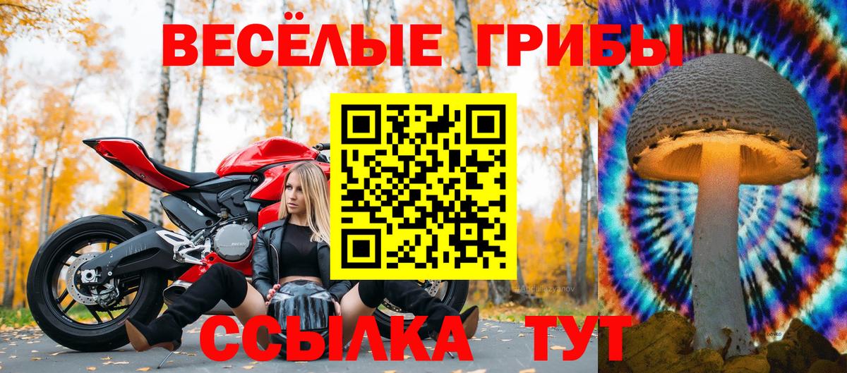 Белогорск  Галлюциногенные грибы прущие грибы  Вход с VPN 